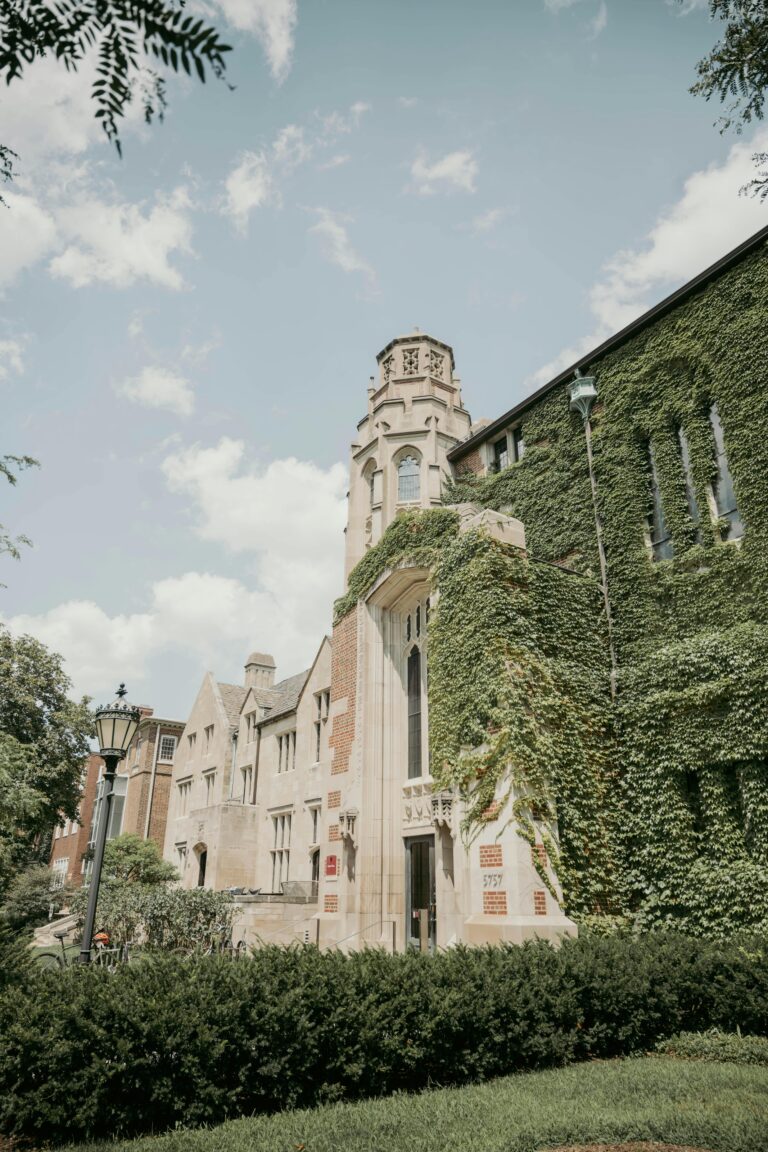 pexels-quang-vuong-724225078-27238189